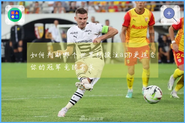 如何判断哪个世界杯投注app更适合你的冠军竞猜需求