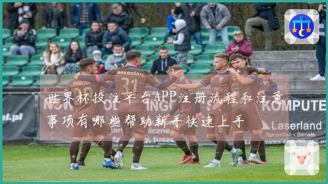 世界杯投注平台APP注册流程和注意事项有哪些帮助新手快速上手
