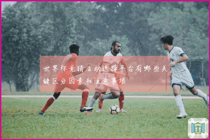 世界杯竞猜活动选择平台有哪些关键区分因素和注意事项
