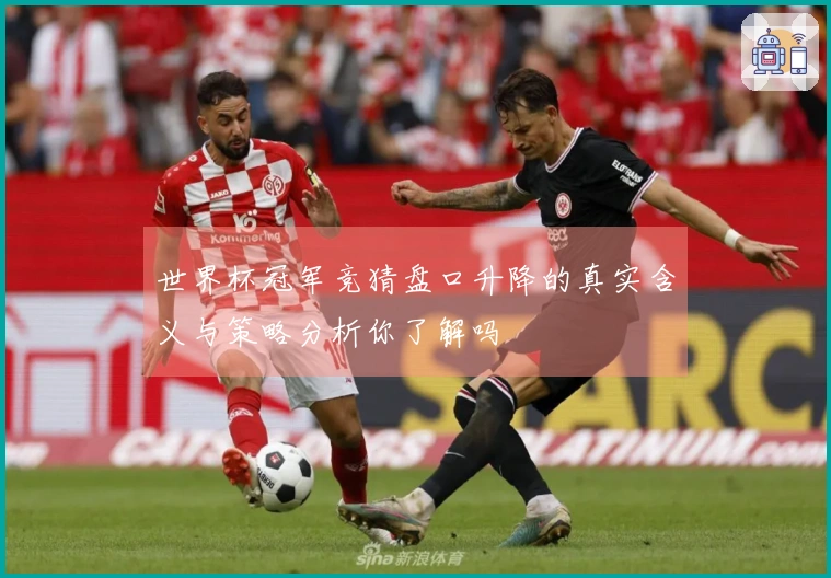 世界杯冠军竞猜盘口升降的真实含义与策略分析你了解吗
