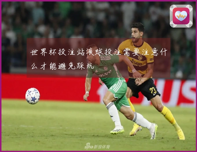 世界杯投注站滚球投注需要注意什么才能避免踩坑