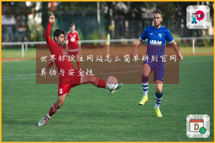 世界杯投注网站怎么简单辨别官网真伪与安全性