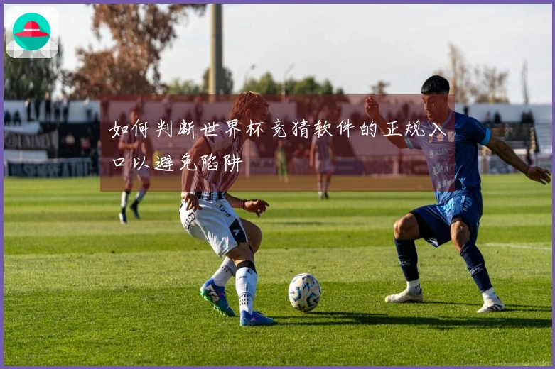 如何判断世界杯竞猜软件的正规入口以避免陷阱