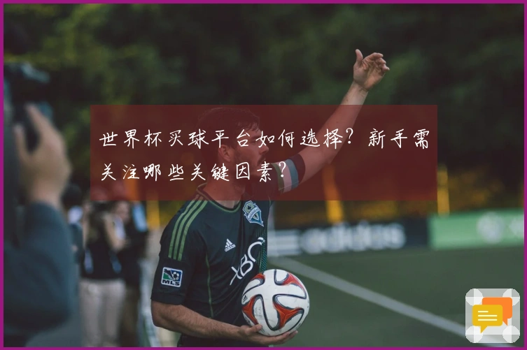 世界杯买球平台如何选择？新手需关注哪些关键因素？
