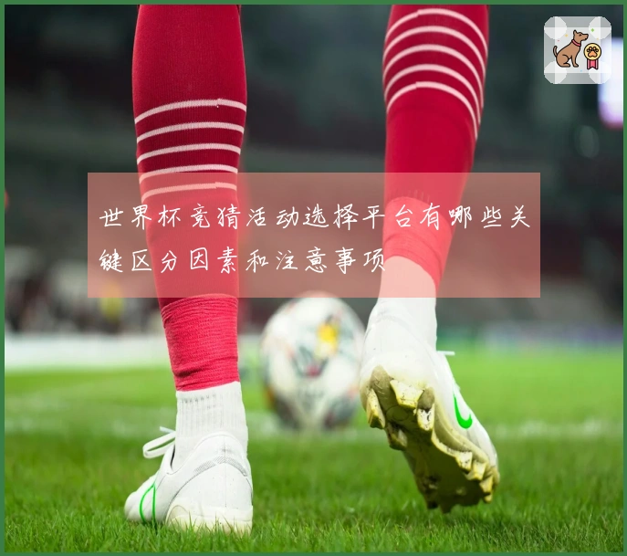世界杯竞猜活动选择平台有哪些关键区分因素和注意事项