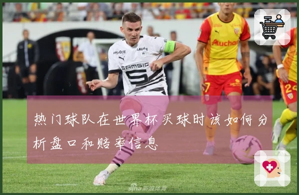 热门球队在世界杯买球时该如何分析盘口和赔率信息