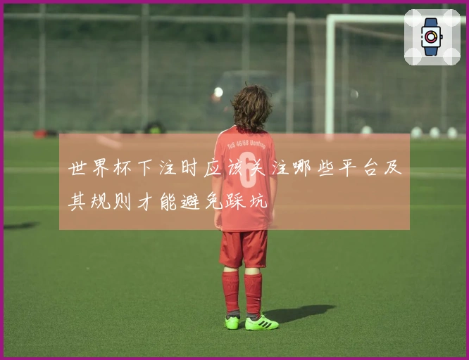 世界杯下注时应该关注哪些平台及其规则才能避免踩坑