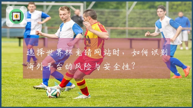 选择世界杯竞猜网站时，如何识别海外平台的风险与安全性？