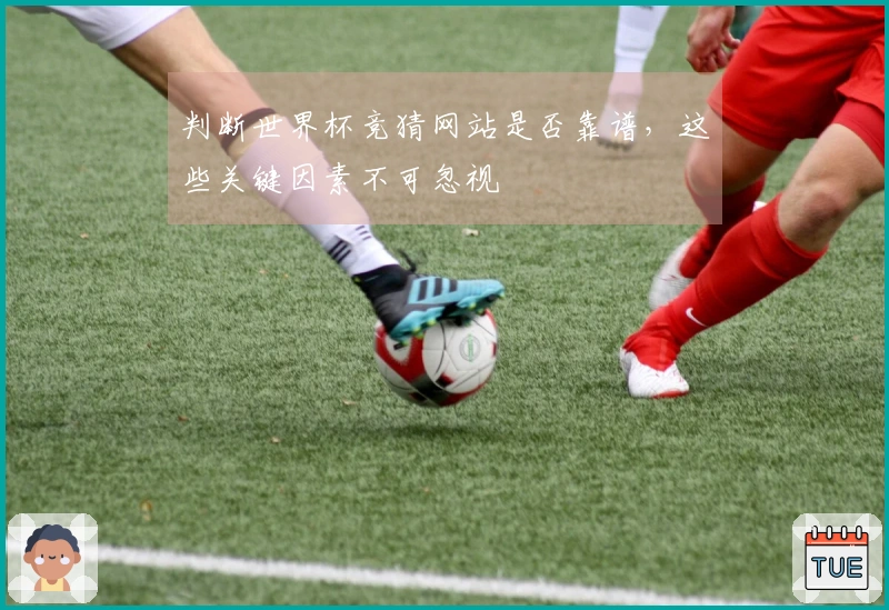 判断世界杯竞猜网站是否靠谱，这些关键因素不可忽视