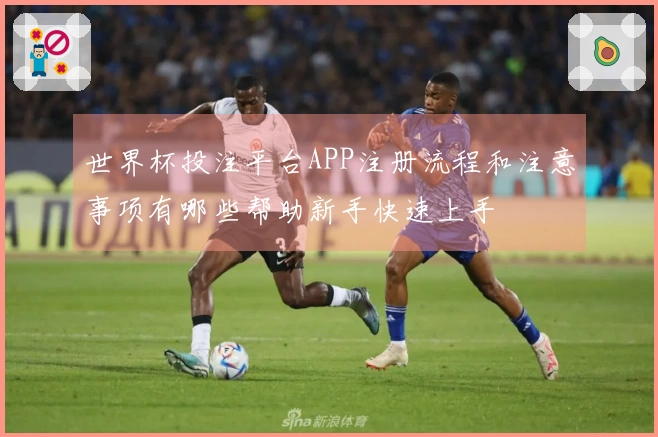 世界杯投注平台APP注册流程和注意事项有哪些帮助新手快速上手
