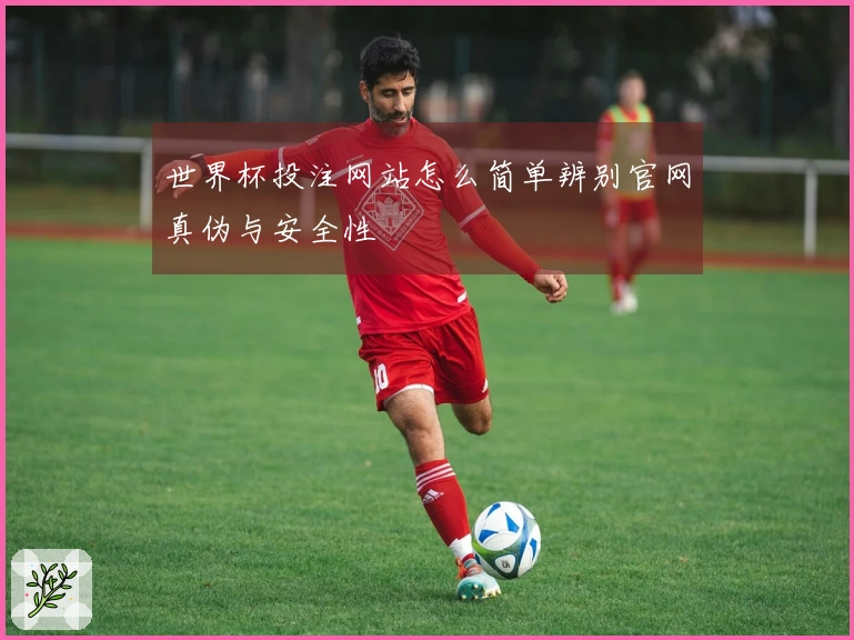 世界杯投注网站怎么简单辨别官网真伪与安全性
