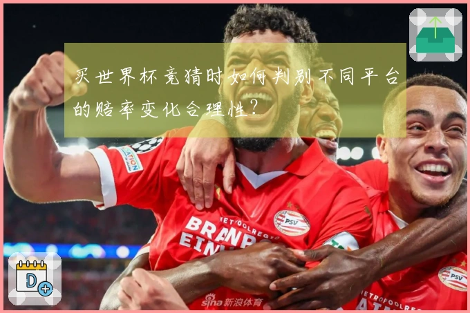 买世界杯竞猜时如何判别不同平台的赔率变化合理性？