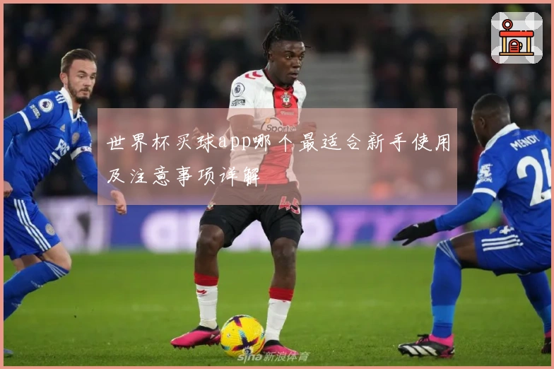 世界杯买球app哪个最适合新手使用及注意事项详解