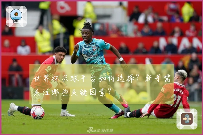 世界杯买球平台如何选择？新手需关注哪些关键因素？