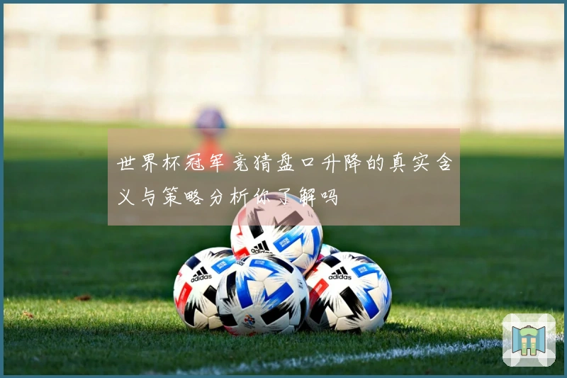 世界杯冠军竞猜盘口升降的真实含义与策略分析你了解吗