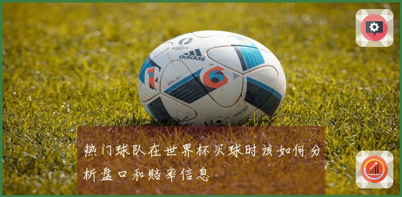 热门球队在世界杯买球时该如何分析盘口和赔率信息