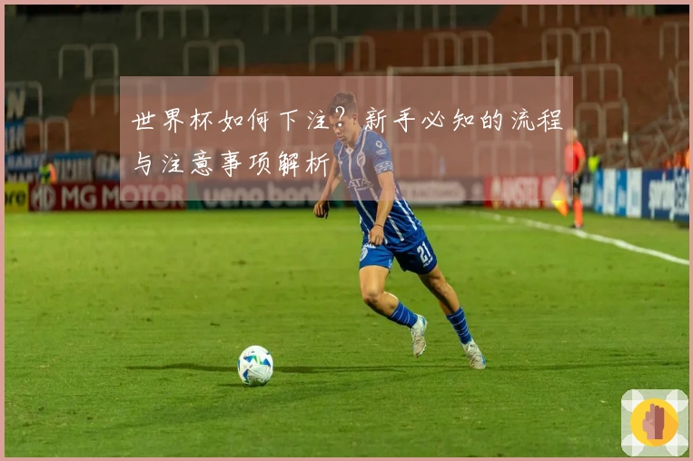 世界杯如何下注？新手必知的流程与注意事项解析