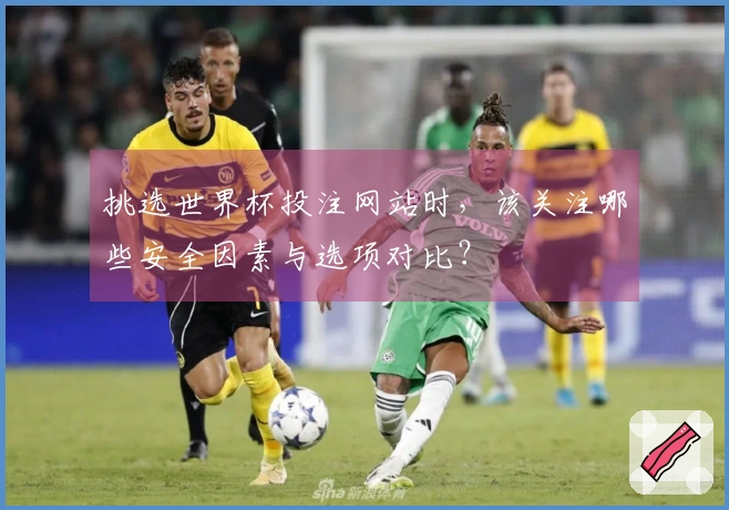 挑选世界杯投注网站时，该关注哪些安全因素与选项对比？