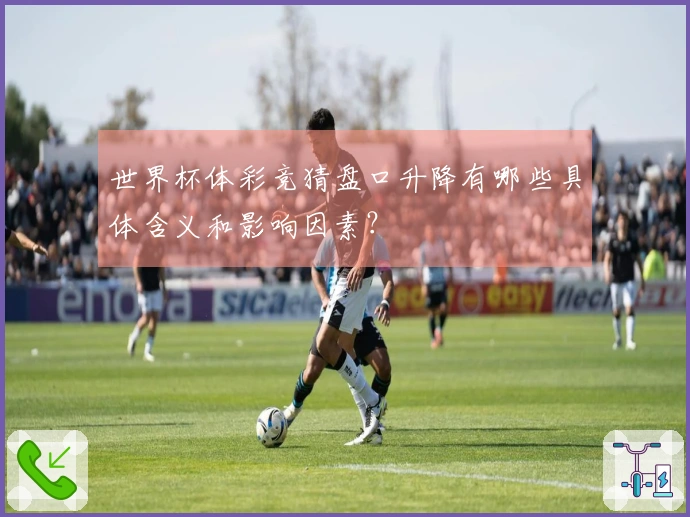 世界杯体彩竞猜盘口升降有哪些具体含义和影响因素？