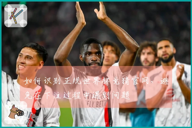 如何识别正规世界杯竞猜官网，避免在下注过程中遇到问题